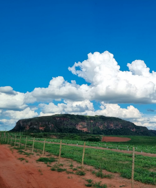 Captura de tela 2024-07-16 154435